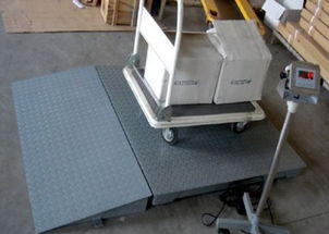 專業(yè)直供 1噸、2噸、3噸電子地磅與配套網(wǎng)絡技術服務，一站式解決方案